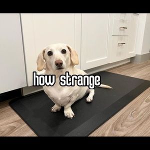 Meet your Posher, Ana